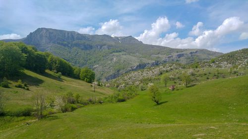 Scenic view of landscape against sky