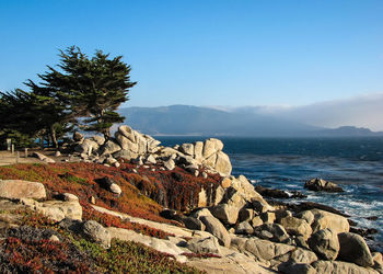Scenic view of sea against clear blue sky
