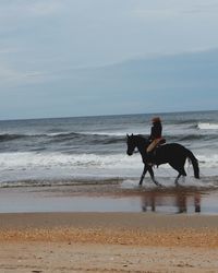 Man riding horse on beach