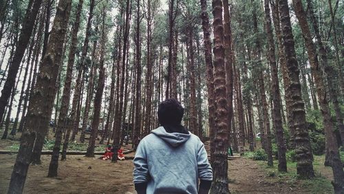 Rear view of man walking by tall trees in forest