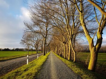 Road amidst bare trees on field against sky