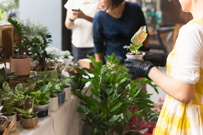 Woman gardener selling a plant to customer in the store.
