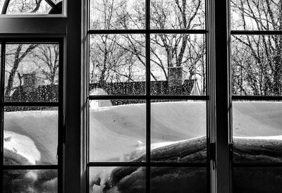 Reflection of trees on glass window