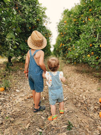 Brother and sister walk in orange orchard in with kids summertime between orange trees