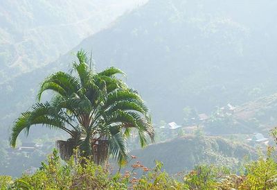 Scenic view of mountains