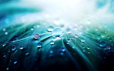 drop