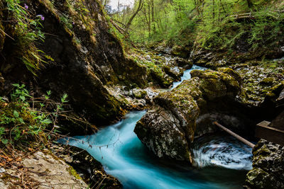 Stream flowing through rocks in forest