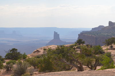 Canyonlands national park island in the sky district green river overlook - candlestick tower
