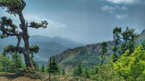 Scenic view of tree mountains against sky