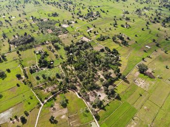 High angle view of agricultural field