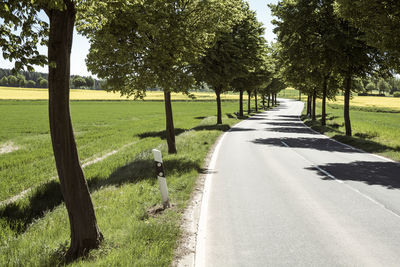 Road amidst trees on field