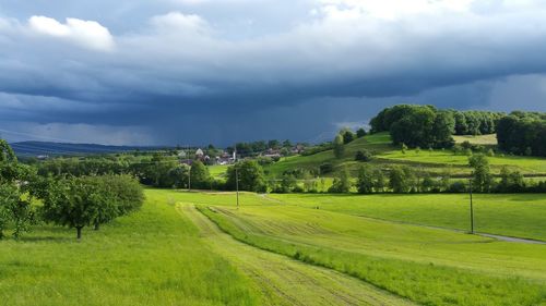 Scenic view of agricultural field against sky