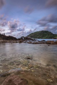 Surface level of rocks on shore against sky