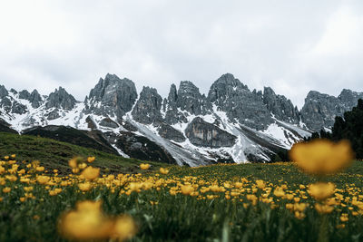 Scenic view of snowcapped mountains against sky