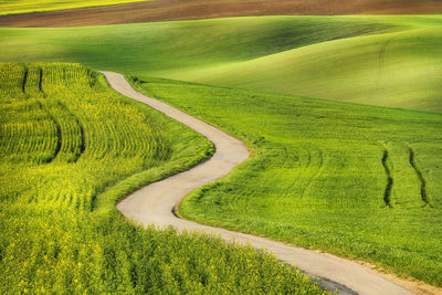 Scenic view of grassy hill