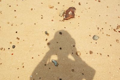 High angle view of shadow on a beach sand