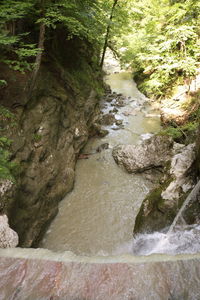 High angle view of river flowing through rocks in forest