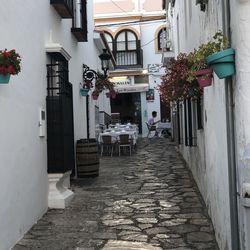 Alley amidst buildings in city