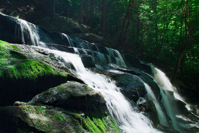Scenic view of waterfall in forest