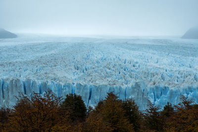 Photo was made in autumn near perito moreno glacier