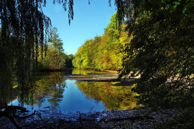 Scenic view of lake in forest against sky