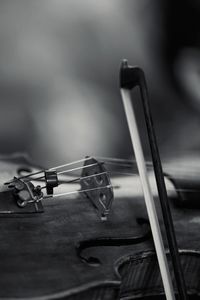 Close-up of violin