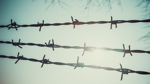 Close-up of barbed wire against sky