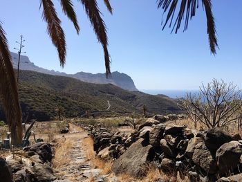 Scenic view of landscape against clear sky