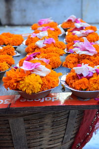 High angle view of marigold flowers