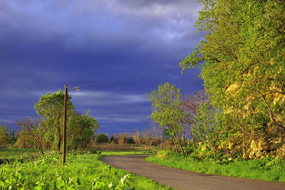 Trees on landscape against blue sky