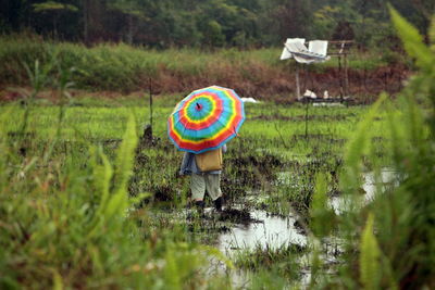 Rear view of farmer under umbrella on agricultural field