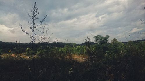 Scenic view of field against cloudy sky