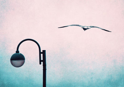 Bird flying against sky during sunset