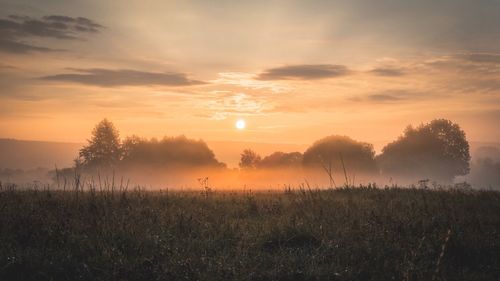 Scenic view of field against sky during sunset