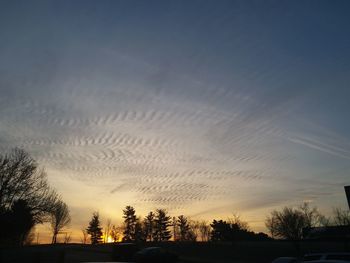 Low angle view of silhouette trees against sky during sunset