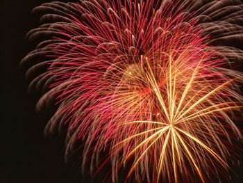 Low angle view of firework display at night