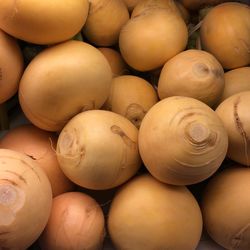 Full frame shot of white turnips