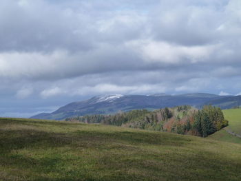 Scenic view of field against sky