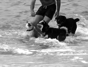 Low section of man with dogs in sea