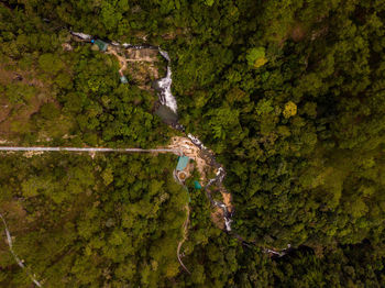 High angle view of woman jumping in forest