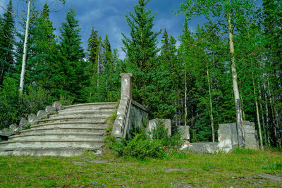 Boardwalk amidst trees in forest against sky