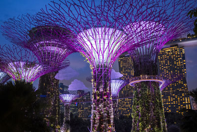 Solar-powered supertrees at dusk in gardens by the bay, singapore.