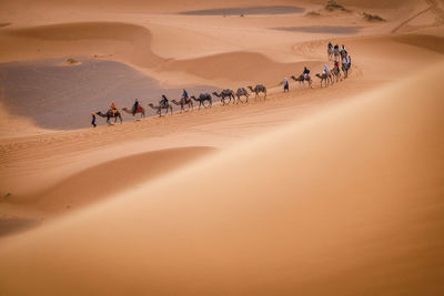 Caravan in the desert