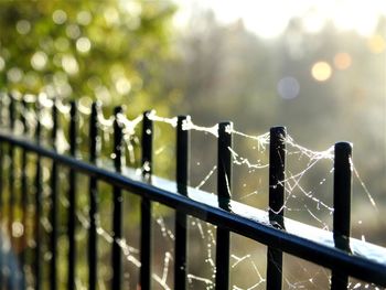 Close-up of railing against blurred background