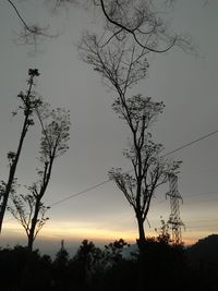 Low angle view of silhouette trees against sky during sunset