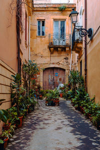 Characteristic alley with plants in the historical center of ortigia