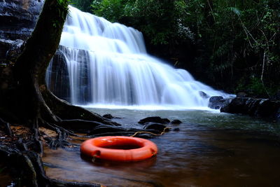 View of waterfall in forest