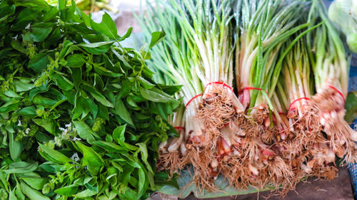 Close-up of vegetables for sale in market