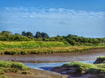 Scenic view of landscape against sky