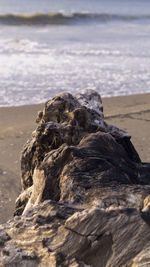 Rock formations on beach
